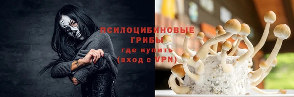 прущие крисы Алзамай